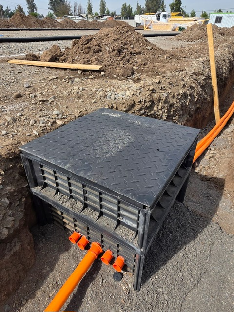 PHOTO-2025-04-14-23-55-08